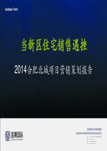 2014合肥北城项目营销策划报告总结