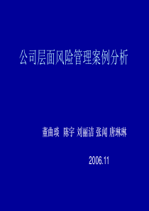 公司层面风险管理案例分析