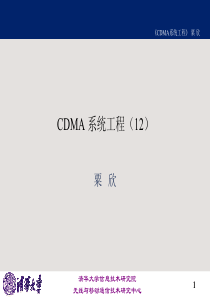 CDMA系统工程(12)清华大学讲义