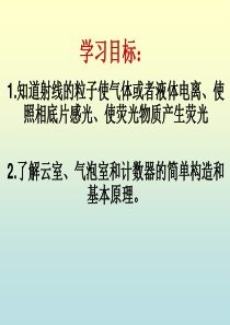 19.3探测射线的方法(2016.12.29)剖析