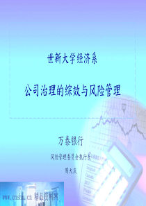 公司治理的综效与风险管理