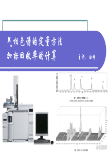 气相色谱定量方法及加标回收率的计算