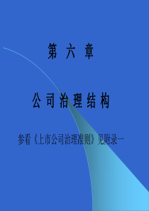 第六章公司治理结构