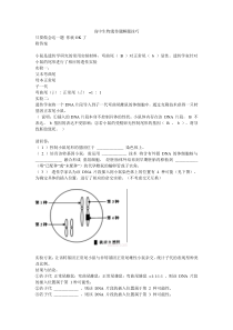 高中生物遗传题解题技巧