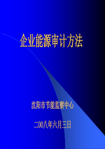 2008年企业能源审计培训课件