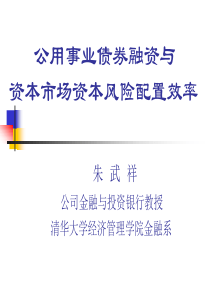 公用事业债券融资资本市场资本风险配置效率