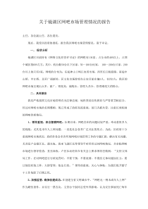 镜湖网吧工作总结汇报