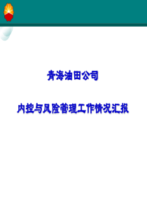 内控与风险管理工作情况汇报