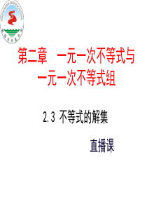 初中数学-北师大版八年级下册2.3.不等式的解集-课件-(共19张ppt)