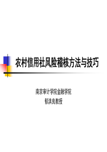 农村信用社风险审计方法和技巧