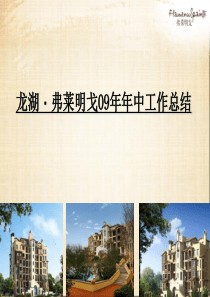 龙湖弗莱明戈09年年中工作总结