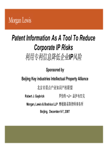 利用专利信息降低企业IP风险