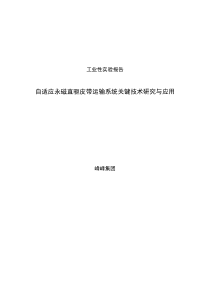 工业性试验报告改(3.11下午改)