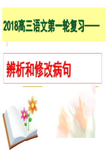 2018年高考病句复习实用版(上课版)