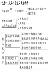 XXXX 高考政治二轮专题复习 发展社会主义民主政治