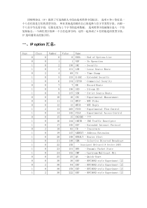 IP-option文档