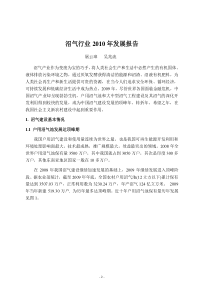 XXXX年沼气产业发展报告