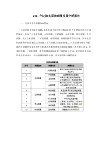 XXXX年沈阳太原街商圈发展分析报告