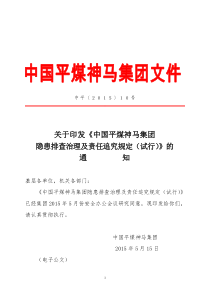 集团隐患排查治理及责任追究规定(试行)》的通知(中