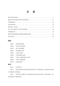 雷波东边沟防洪治理工程正文(2)