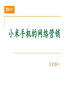 手机的网络营销方案(PPT-41页)