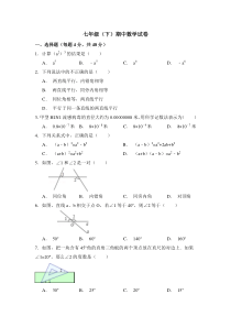 北师大版数学七年级下册期中考试试卷10