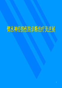 臂丛神经PPT精选课件