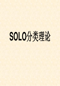 solo分类理论