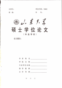 XXXX戴尔中国公司大型制造业市场发展战略研究