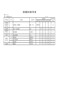 危险识别及风险评估表