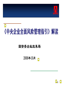 唯一企业全面风险管理指引解读