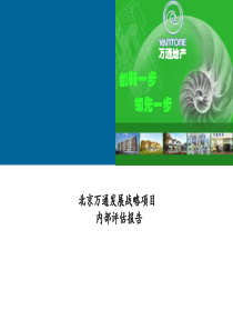 XX发展战略项目内部评估报告（PPT 60页）