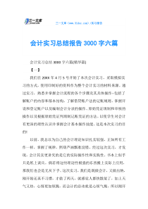 会计实习总结报告3000字六篇