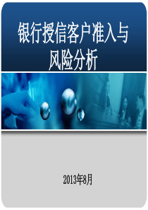 商业银行授信客户准入与风险分析