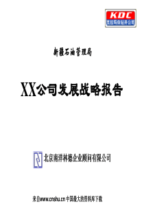 XX石油钻井公司发展战略报告(PPT224页)