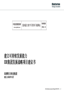 XX集团发展战略项目建议书