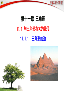 11.1.1-三角形的边