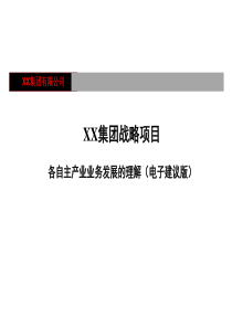 xx集团战略－各自主产业业务发展的理解