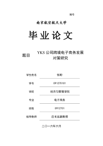 YKS公司跨境电子商务发展对策研究gg