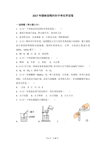 2017年湖南省郴州市中考化学试卷及解析