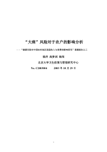 大病风险对于农户的影响分析