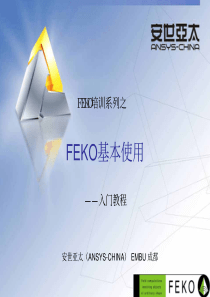 FEKO基本使用