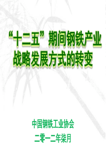 “十二五”期间钢铁产业战略发展方式的转变