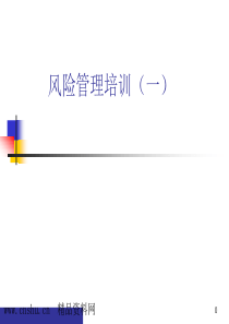 如何构建风险管理（PPT32页）