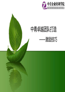 中青卓越团队打造激励技巧