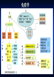 免疫球蛋白