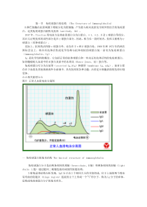 免疫球蛋白的结构