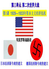 1929-1933资本主义经济危机