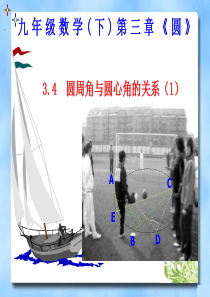 新北师大九年级下3.4 圆周角与圆心角的关系(1)