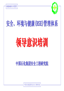 安全、环境与健康(HSE)管理体系领导意识培训